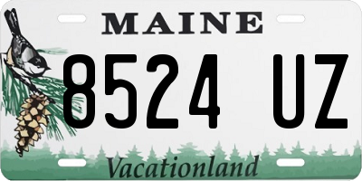 ME license plate 8524UZ