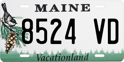 ME license plate 8524VD