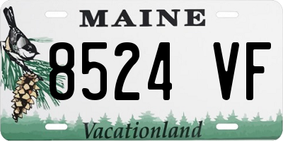 ME license plate 8524VF