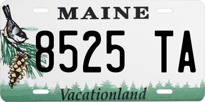 ME license plate 8525TA