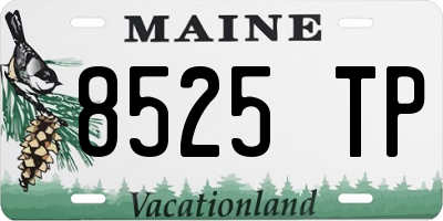 ME license plate 8525TP