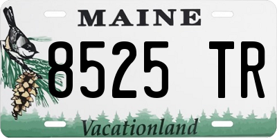 ME license plate 8525TR