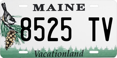 ME license plate 8525TV