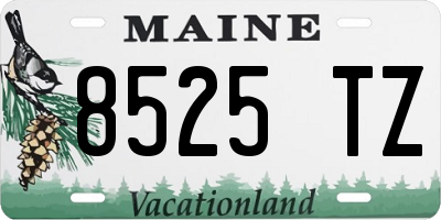 ME license plate 8525TZ