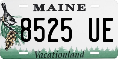 ME license plate 8525UE