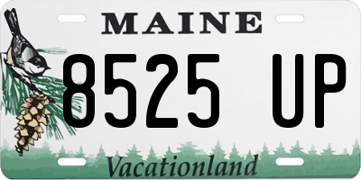 ME license plate 8525UP