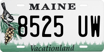 ME license plate 8525UW