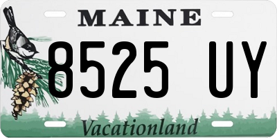 ME license plate 8525UY