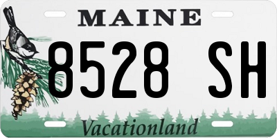 ME license plate 8528SH
