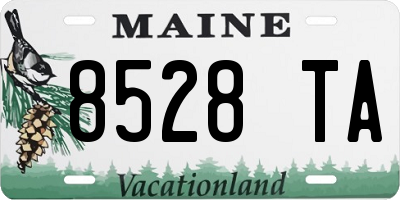 ME license plate 8528TA
