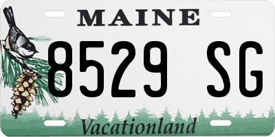 ME license plate 8529SG