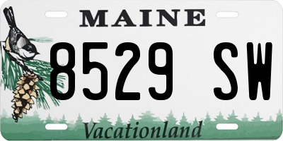 ME license plate 8529SW
