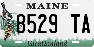 ME license plate 8529TA