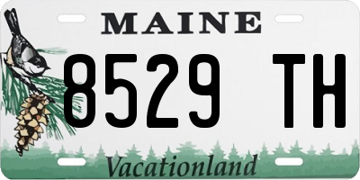 ME license plate 8529TH
