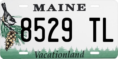 ME license plate 8529TL