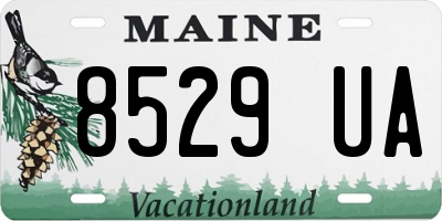 ME license plate 8529UA