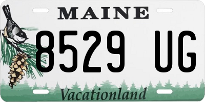ME license plate 8529UG