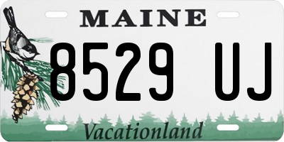 ME license plate 8529UJ