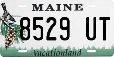 ME license plate 8529UT