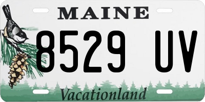 ME license plate 8529UV
