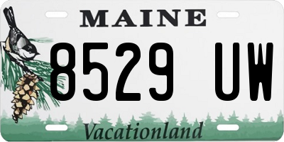 ME license plate 8529UW