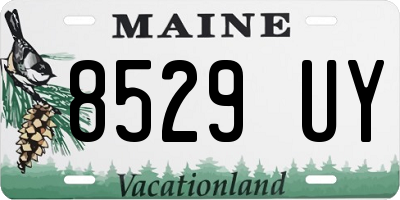 ME license plate 8529UY