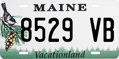 ME license plate 8529VB
