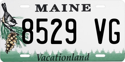 ME license plate 8529VG