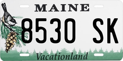ME license plate 8530SK