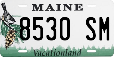 ME license plate 8530SM