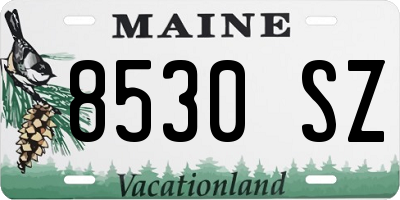 ME license plate 8530SZ