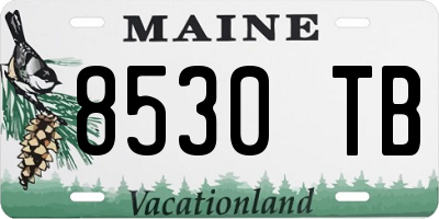 ME license plate 8530TB