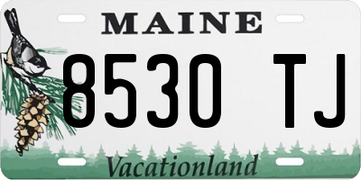 ME license plate 8530TJ