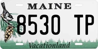 ME license plate 8530TP