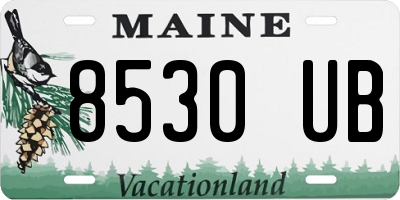 ME license plate 8530UB