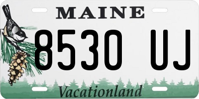 ME license plate 8530UJ