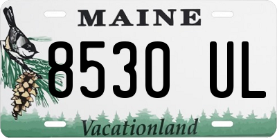 ME license plate 8530UL