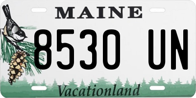 ME license plate 8530UN