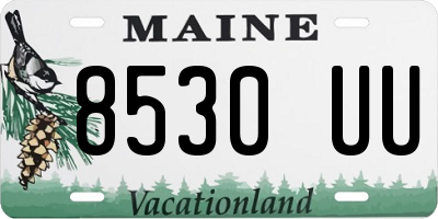 ME license plate 8530UU