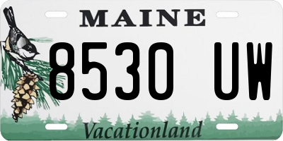 ME license plate 8530UW