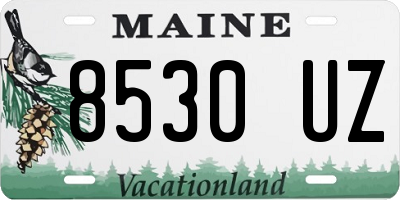 ME license plate 8530UZ
