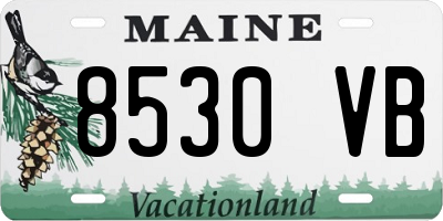 ME license plate 8530VB