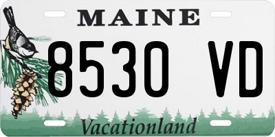ME license plate 8530VD