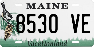 ME license plate 8530VE