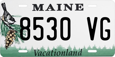 ME license plate 8530VG