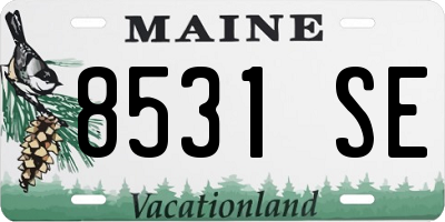ME license plate 8531SE
