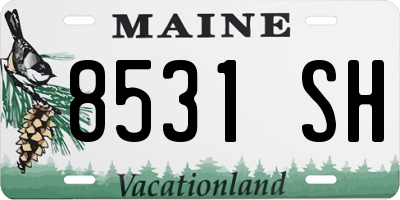 ME license plate 8531SH