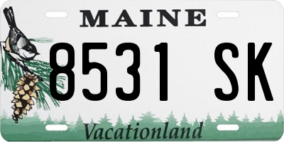 ME license plate 8531SK