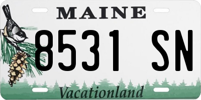 ME license plate 8531SN
