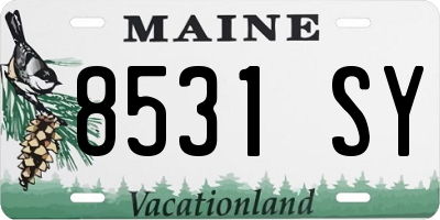 ME license plate 8531SY
